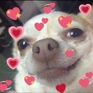 Meet your Posher, Mia